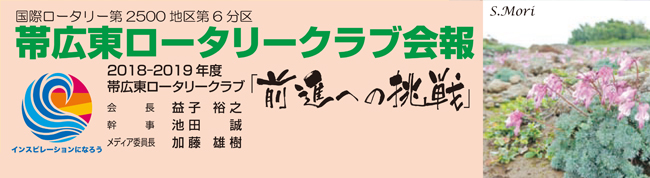 週刊例会レポート